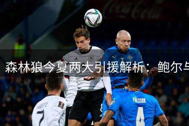 森林狼今夏两大引援解析：鲍尔与海兰德如何提升球队后场